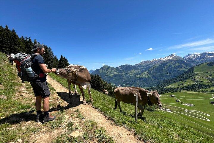 Individual hike in Swiss Alps with local mountaineers