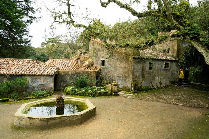 The Other Side of Sintra - Forgotten Woods