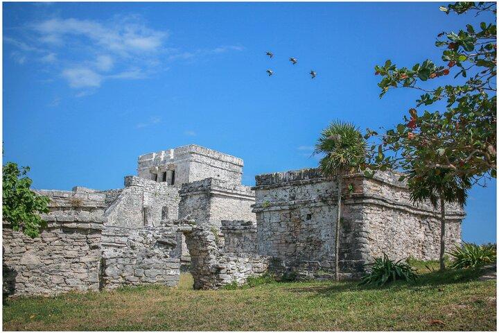 Private Tulum Ruins & Akumal Turtle Adventure