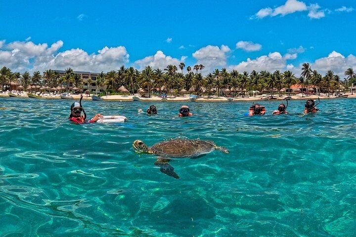 Private Turtle Snorkeling and Jungle Adventure with Cenote