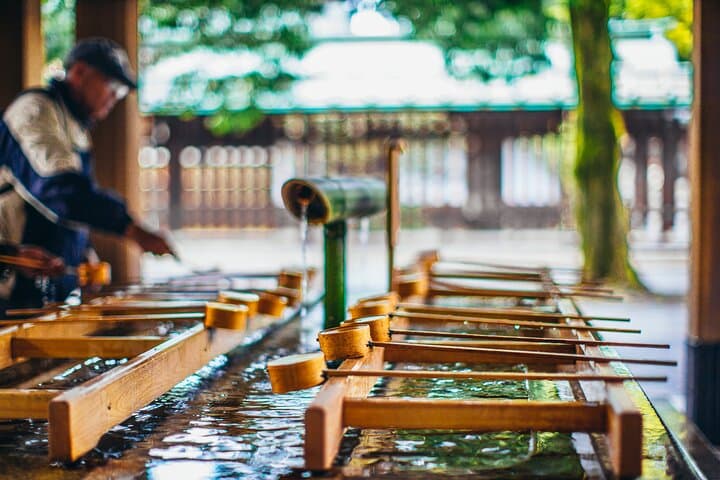Afternoon Small Group Tour in Tokyo