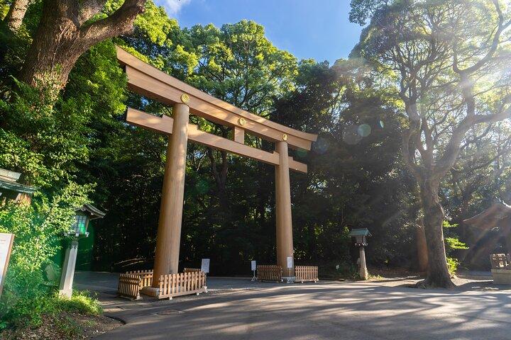 Afternoon Small Group Tour in Tokyo