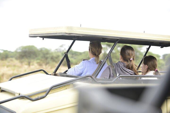 Lake Manyara National Park Full-Day Tour from Arusha