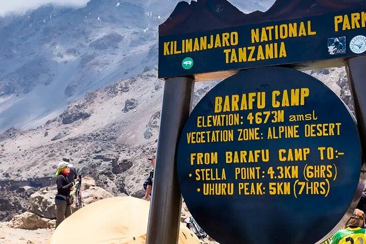 8 Days Mount Kilimanjaro Lemosho Route