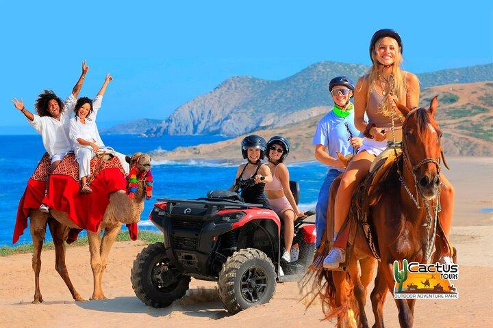 Cabo San Lucas Camel and Horseback Ride with ATV Adventure