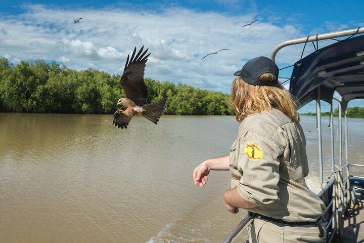 Crocodile Jumping Boat Cruise with Transfer from Darwin
