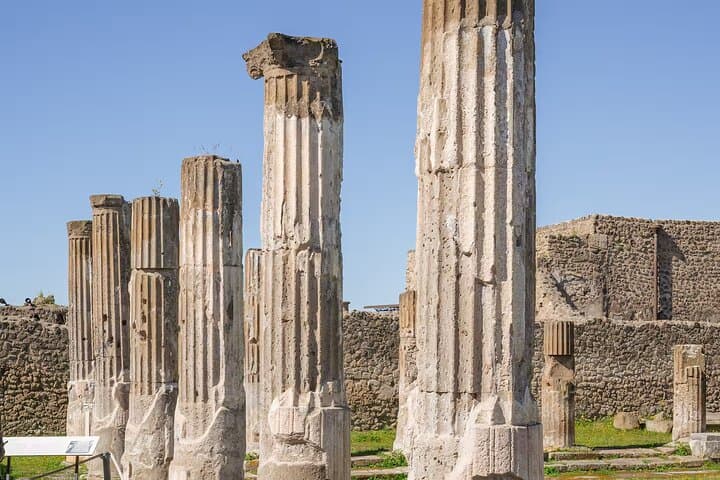 Pompeii Guided Experience - Tour Service Only