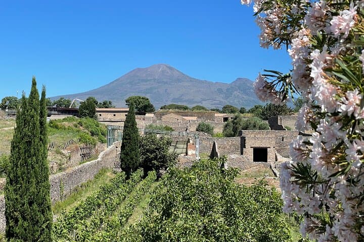 Pompeii Private Tour with Transportation and Archaeologist