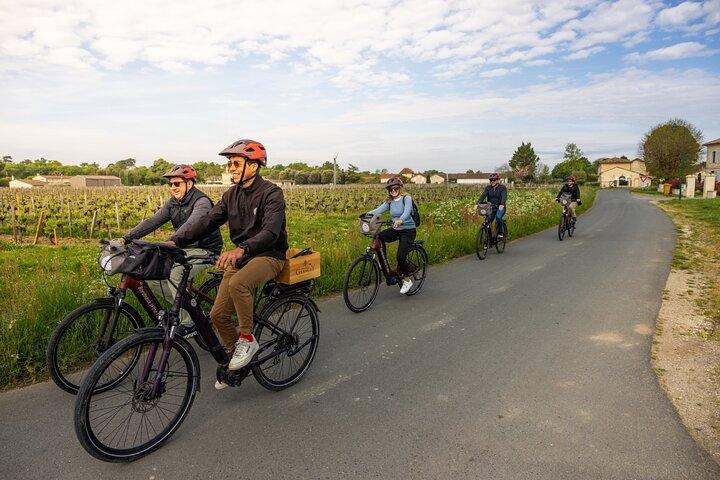 Bordeaux Wine Trails: Saint Emilion Full Day Wine and Bike Tour