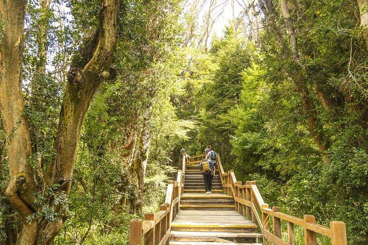 Bariloche: Boat Trip to Victoria Island and the Arrayanes Forest