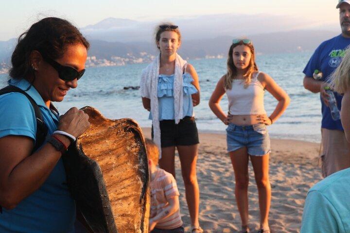 Sea Turtle Release – A Puerto Vallarta Conservation Adventure