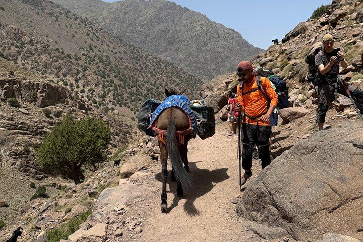 2-Day Atlas Mountains Trek: Azzaden Valley to Imlil via Tizi Mzik