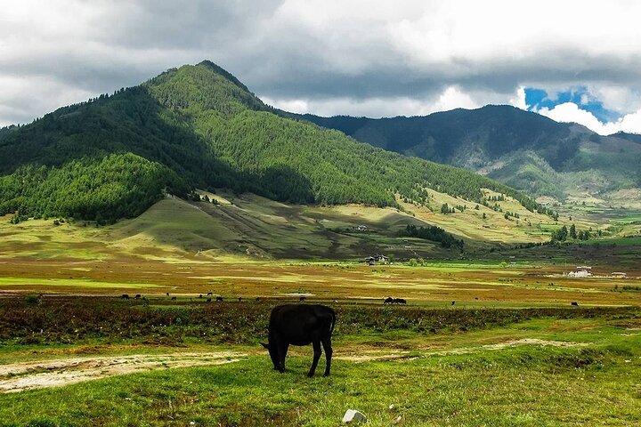 Customized 10 Days Bhutan Family Tour from Paro (Private)