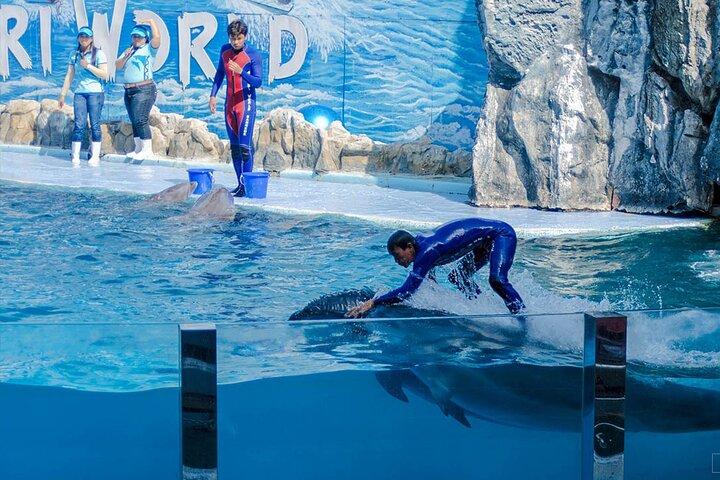 Safari World & Marine Park Bangkok Full-Day with Lunch + Transfer