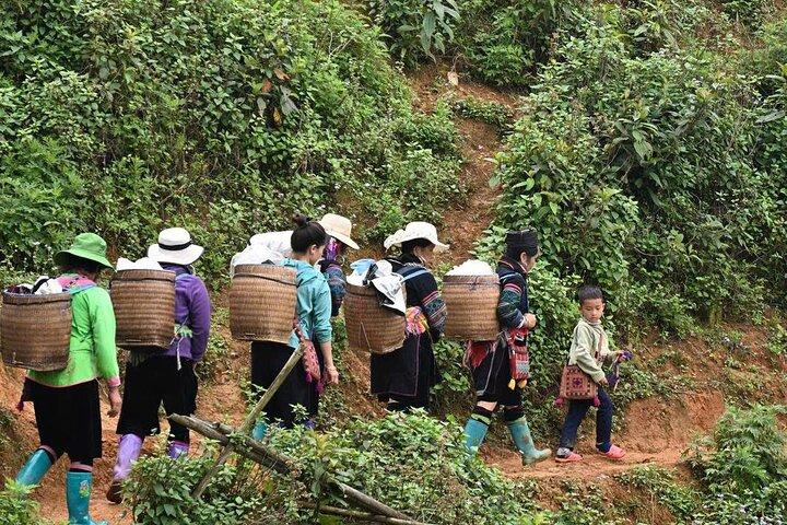 Explore Sapa: 2D1N Trekking & Hmong Culture With Dinh