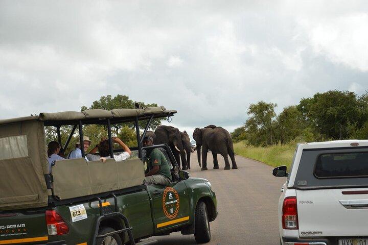 Full Day Pilanesberg Safari with Lunch and Guided Game Drives