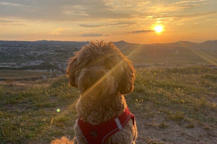 Red & Rose Valley Sunset Hiking Tour with a Trekking Dog "Oscar"