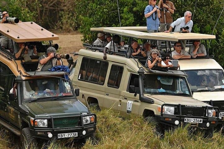 Lake Nakuru Naivasha and Masai Mara 4 Days Shared Jeep Safari