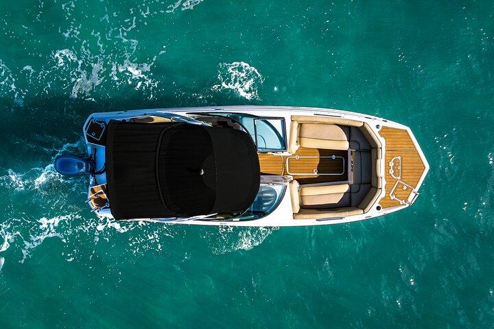 Private Miami Beach Boat Tour: Celebrity Homes, raccoons & more