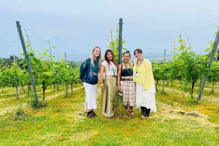 Private Wine Tasting Tour in Yamanashi Prefecture by Car
