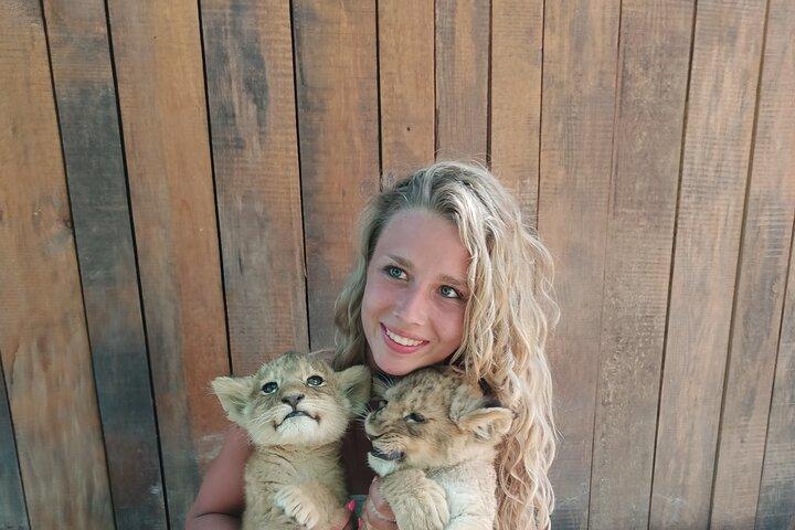Lion Safari and Green Canyon Splash Feast with Lunch