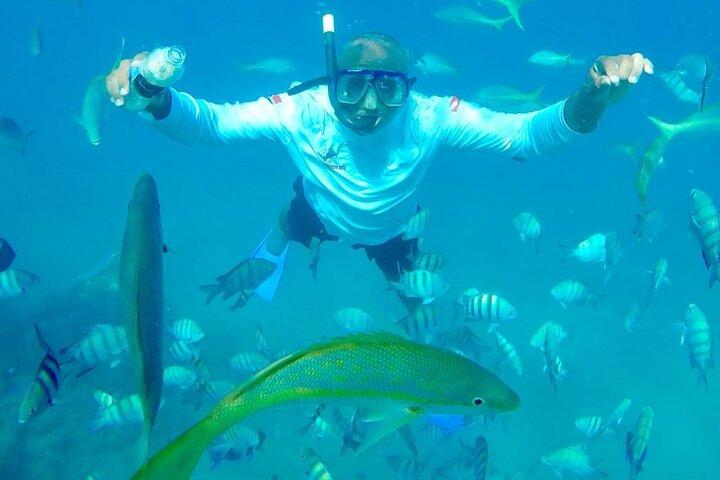 Party Boat Puerto Plata : Snorkeling, Buffet and Open Bar