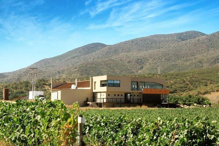 Border Pickup & Drop off: Private Valle de Guadalupe Tour