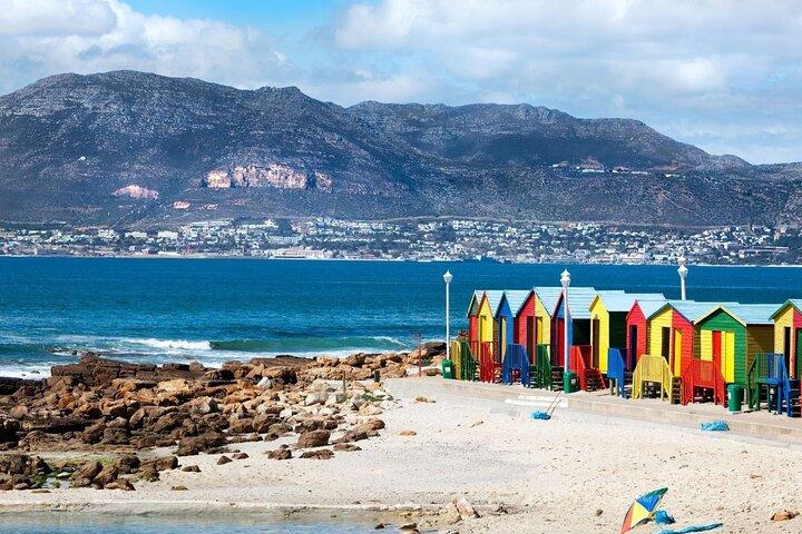 Kayak with penguins and Hike Cape of Good Hope