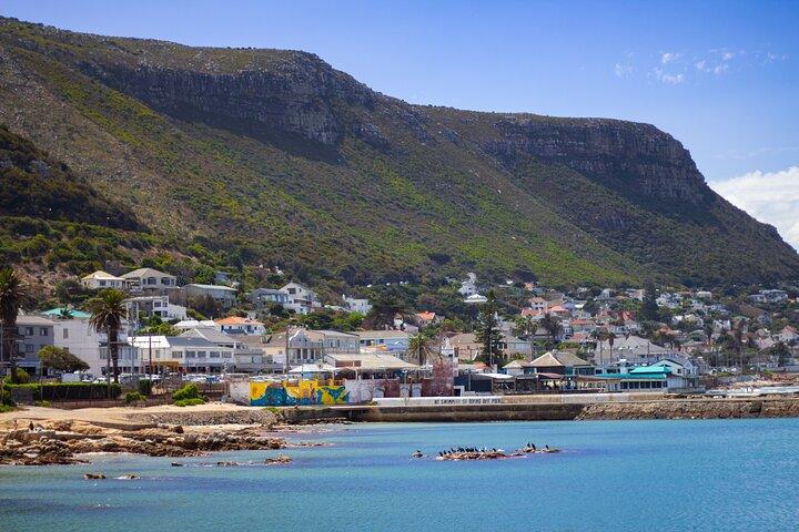 Kayak with penguins and Hike Cape of Good Hope