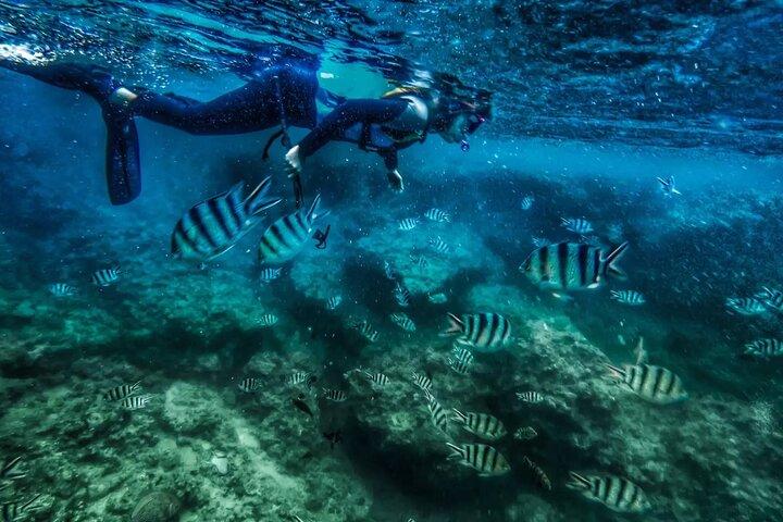 Bali Blue Lagoon Snorkeling with Private Transfer and Lunch