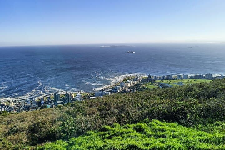 Private Vehicle Guided Tour: Chapman's Peak, Penguins, and more