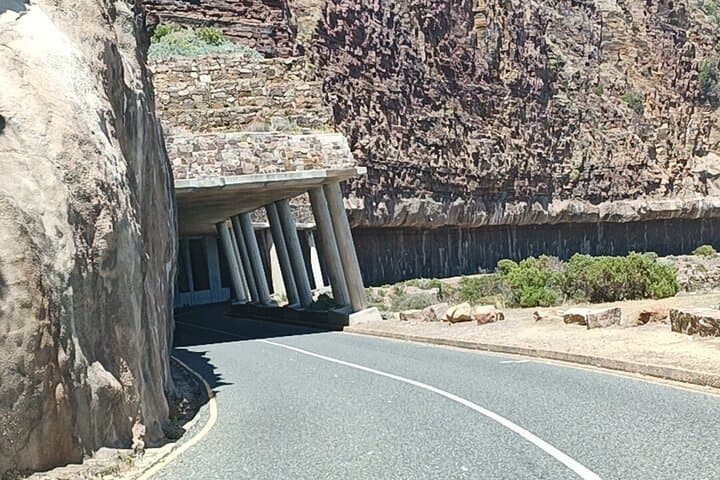 Private Vehicle Guided Tour: Chapman's Peak, Penguins, and more