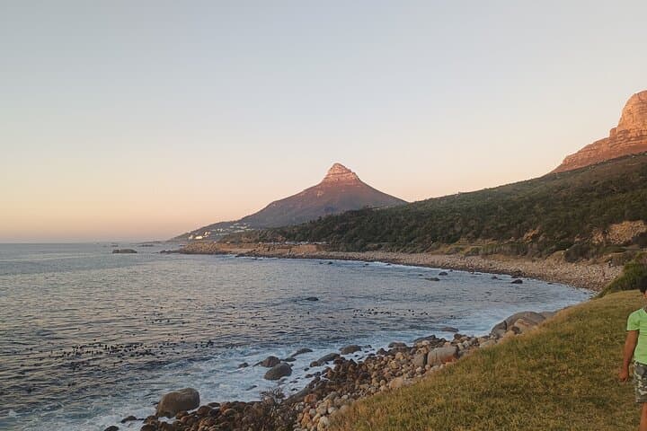 Private Vehicle Guided Tour: Chapman's Peak, Penguins, and more