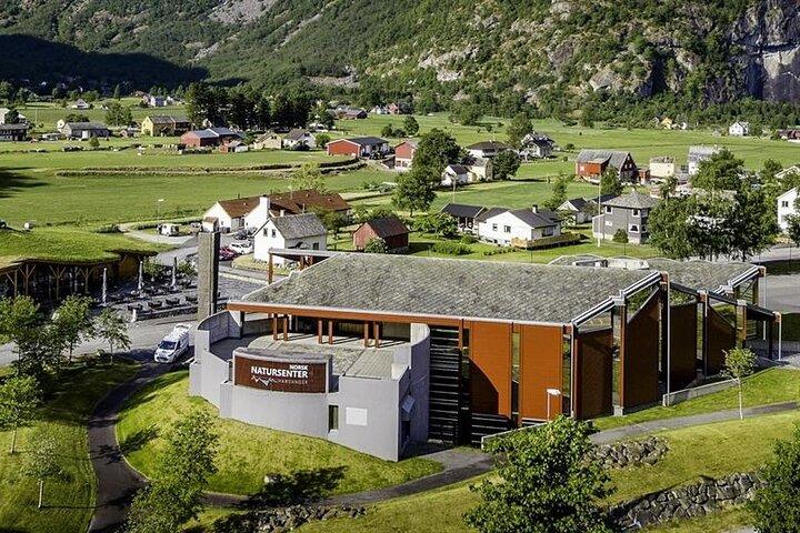 Eidfjord Shore Excursion with Scenic Adventure