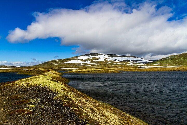 Eidfjord Shore Excursion with Scenic Adventure