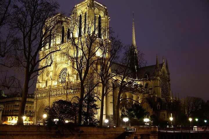 Notre Dame Guided Tour with Scheduled Group Access in option