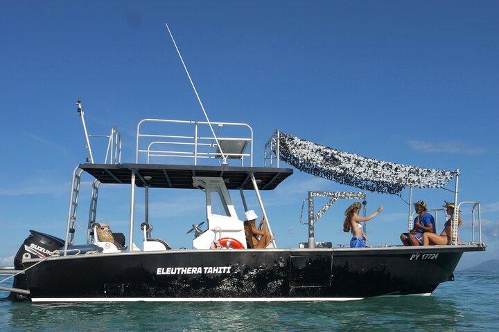 Swim with Humpback Whales in Tahiti (Seasonal)