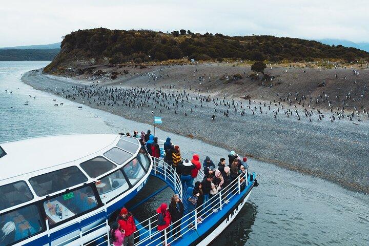 Beagle Channel Cruise & Penguin Watching from Ushuaia