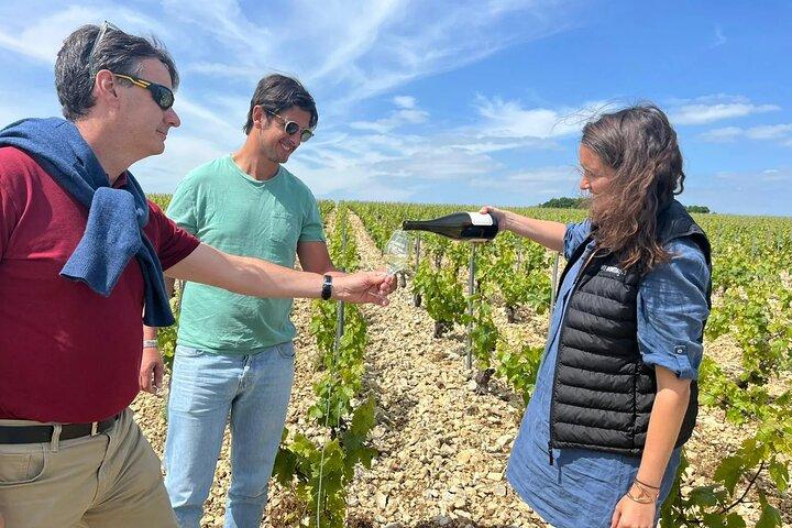 Chablis-Burgundy Wine Day from Paris with 8 Tastings & Lunch