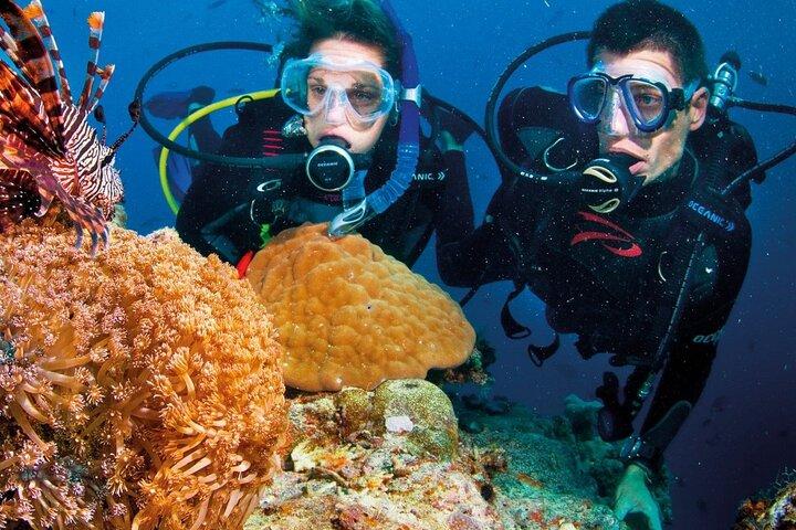 Nha Trang Coral Reefs Scuba Diving Experience with Lunch