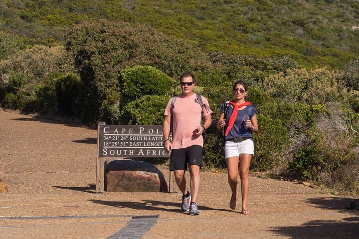 Top 10 Super Tour: Table Mountain, Penguins & Cape of Good Hope Small Group Trip