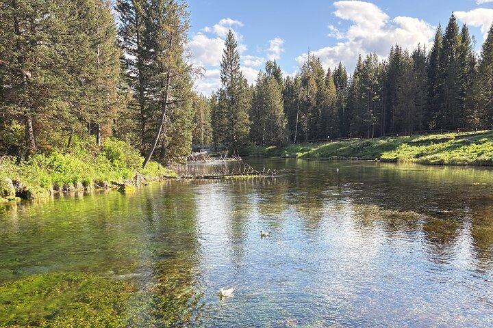 Guided ATV Adventure: Island Park (20 Mins from West Yellowstone)