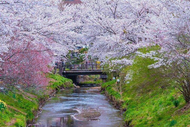 Mt Fuji and Hakone Day Trip from Tokyo with Ropeway Experience