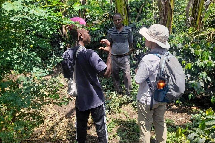 Napuru Waterfalls & Coffee Farm Tour: Pure Nature & A Cup of Soul