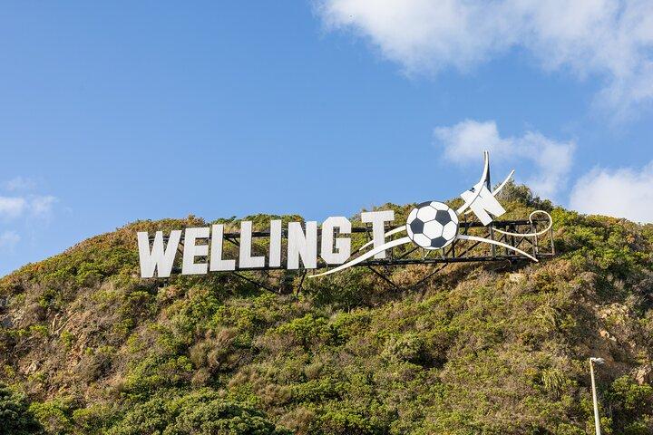 PRIVATE Full Day guided tour of Wellington including Te Papa Tour