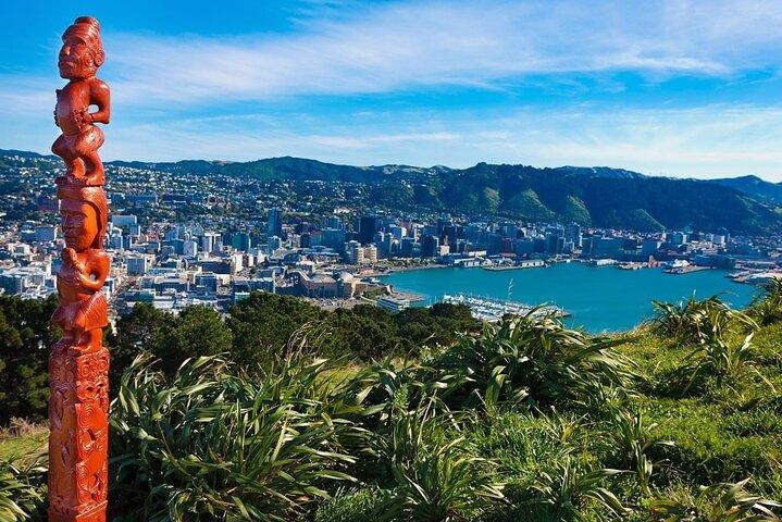 PRIVATE Full Day guided tour of Wellington including Te Papa Tour