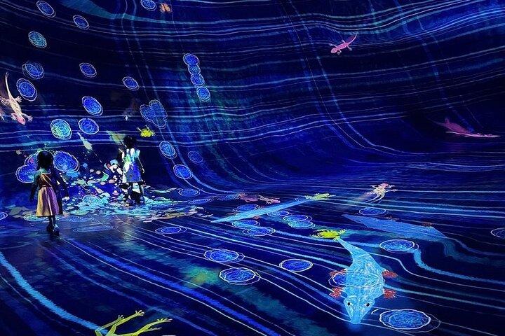 Teamlab Phenomena Abu Dhabi
