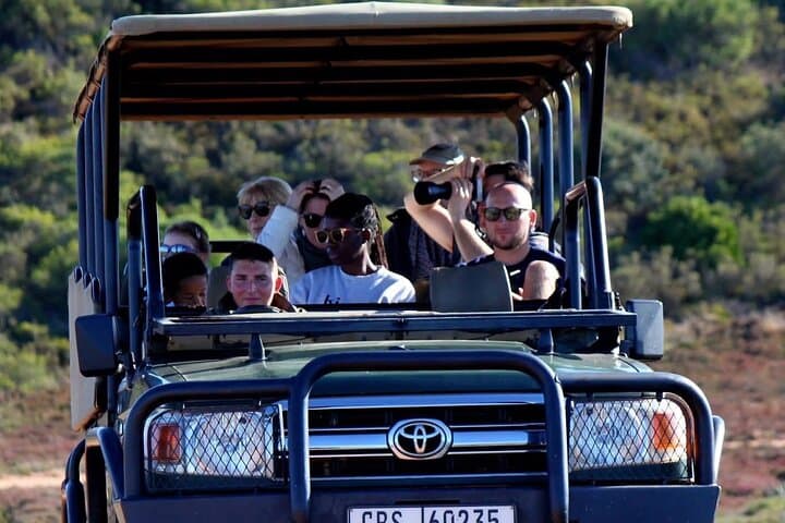 From Cape Town 2 Day Safari at Garden Route Game Lodge