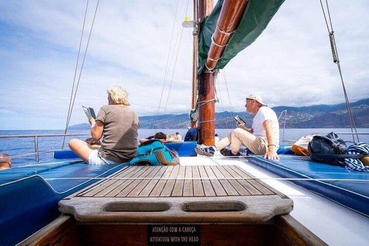 Funchal Sunset Tour Swimming Stop Dolphin and Whale Watching