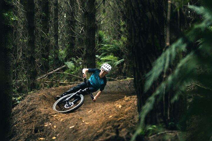 Half-Day Self-Guided Mountain Bike Journey through Whakarewarewa Redwood Forest